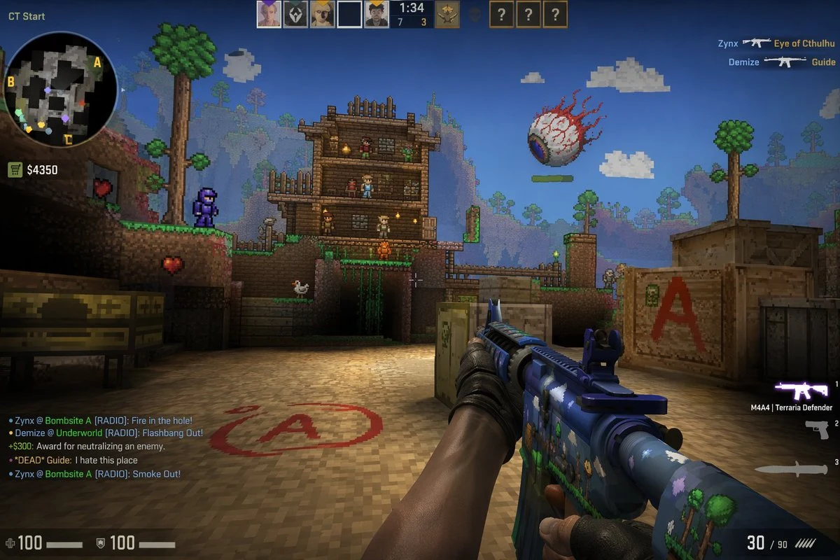 Counter-Strike Terraria Mashup