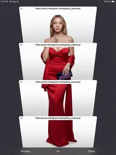 Studio Portrait with Browser UI Overlay