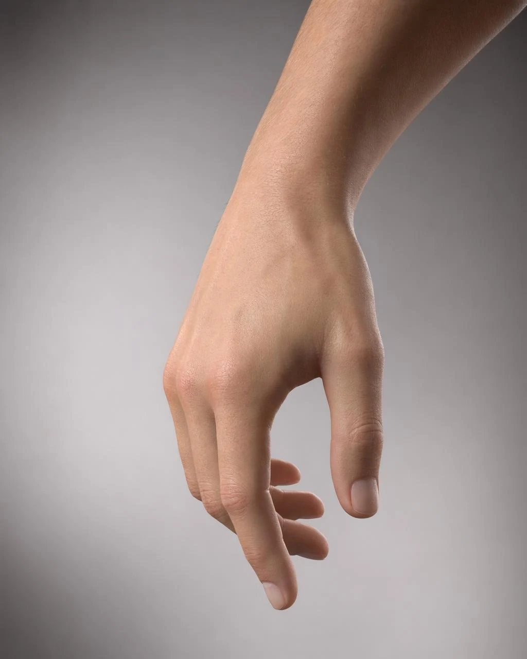 realistic 3d-human hand render